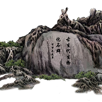 沈陽木龍